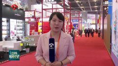 聚焦进博会 以中国新